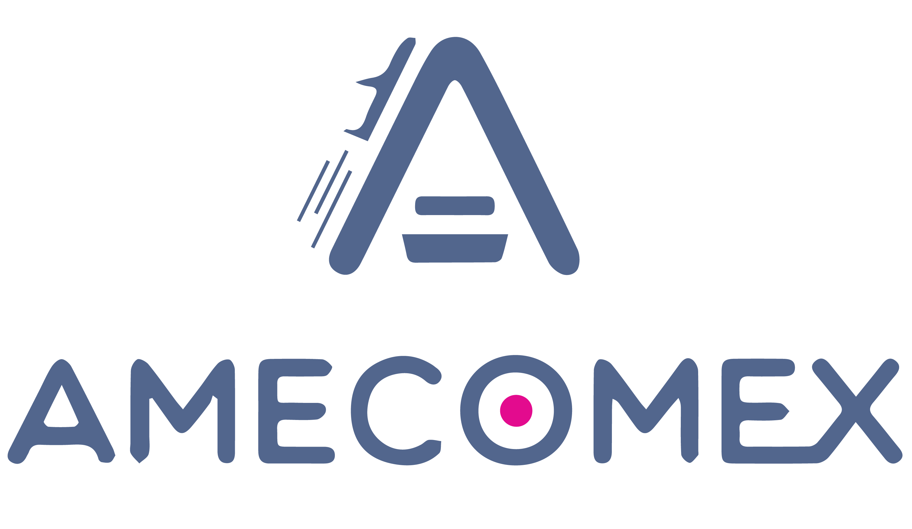AMECOMEX